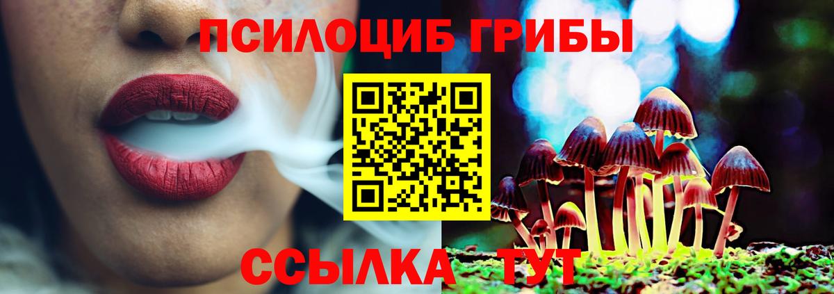 Ставрополь  Галлюциногенные грибы мухоморы  Вход с VPN 